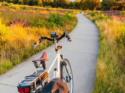 Faites le bon choix pour votre vélo électrique