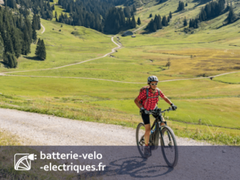 Voyager en vélo électrique : conseils pour des vacances à vélo inoubliables !
