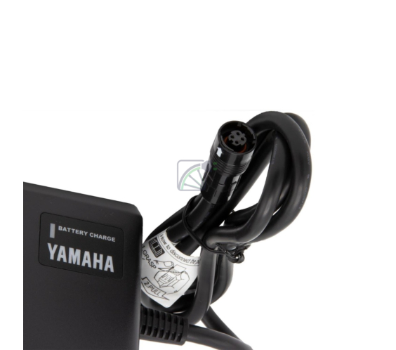 Yamaha Battery Charge