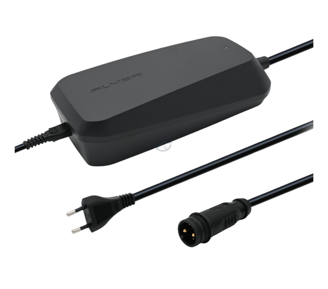 Chargeur batterie bosch velo electrique on sale