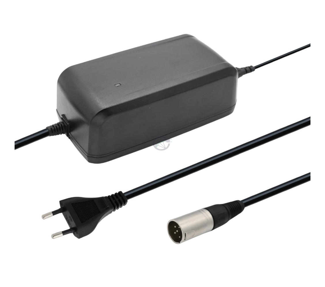 Le Giant EnergyPak Twist Aspiro Ease 42V 4A chargeur rapide 5 broches de batterie velo electriques